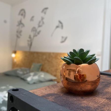 La Maison D'Angelique - Colocation Hoteliere A 150M Gare Tgv- Grande Cuisine Equipee & Salon - Fibre - Netflix Niort Eksteriør bilde